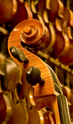 Violin Repair Program